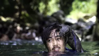 Vydry - ilegálny obchod s exotickými zvieratami