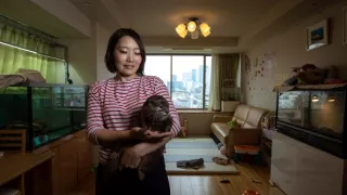 Vydry - ilegálny obchod s exotickými zvieratami