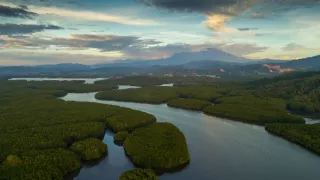 Vydry - ilegálny obchod s exotickými zvieratami