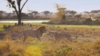 Zázračná planéta: Serengeti II (3/6)