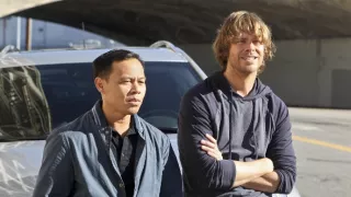 NCIS: Los Angeles VI (14)