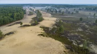 Tajomstvo jeleňa európskeho