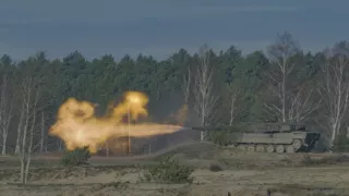 Tajomstvo jeleňa európskeho