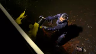 Emoce v umění (24/24)