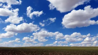 Kráľovstvo divočiny: Manul, Mongolsko