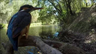 Živá voda, živý svět