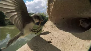 Živá voda, živý svět