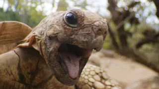 Špionáž v divočine (1/4)