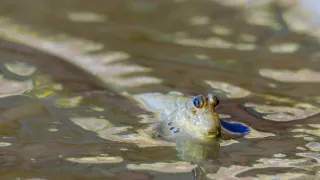 Posledné prírodné raje (4/6)