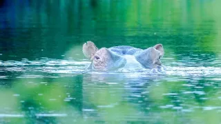 Posledné prírodné raje (4/6)