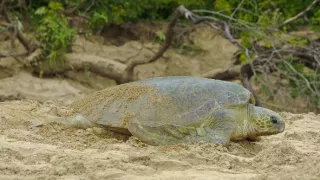 Posledné prírodné raje (4/6)