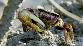 Posledné prírodné raje (4/6)