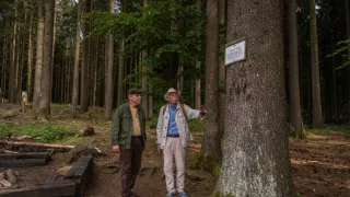 Stopy Járu Cimrmana (3/6)