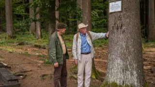 Stopy Járu Cimrmana (3/6)