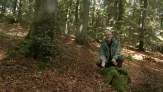 Inteligentné stromy