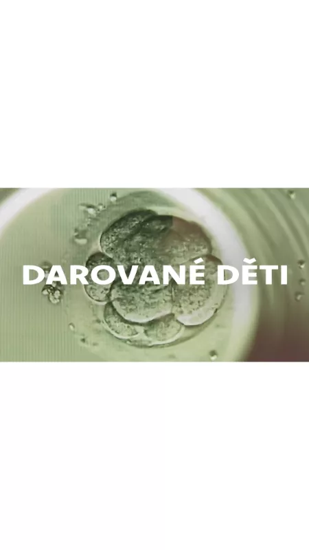 Darované děti, 2016 - fotogaléria