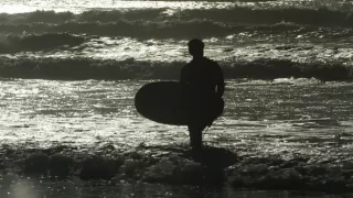 Když žraloci útočí VII (6)