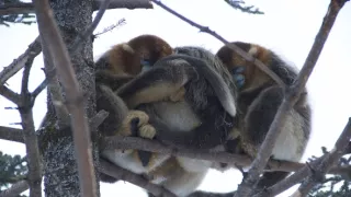 Zimní pohádkový svět přírody