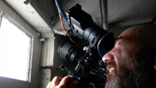 Divočina u nás doma