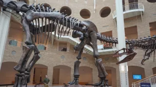 Dinosauři ledového kontinentu (1)
