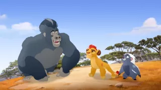 Lví hlídka II (19/30)