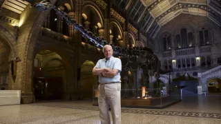 Veľké prírodovedné dobrodružstvá Davida Attenborougha (2/3)