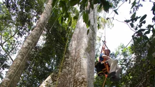 Veľké prírodovedné dobrodružstvá Davida Attenborougha (2/3)