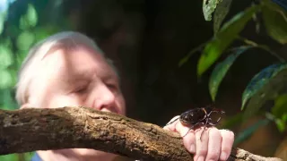 Veľké prírodovedné dobrodružstvá Davida Attenborougha (2/3)