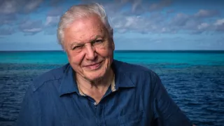 Veľké prírodovedné dobrodružstvá Davida Attenborougha (2/3)