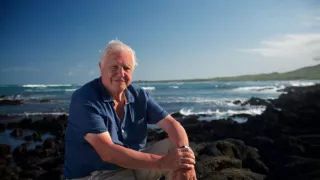 Veľké prírodovedné dobrodružstvá Davida Attenborougha (2/3)