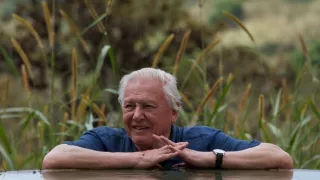 Veľké prírodovedné dobrodružstvá Davida Attenborougha (2/3)