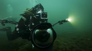 Morské predátory alebo Život na vrchole potravinového reťazca (2/4)