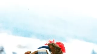 Jak vytrhnout velrybě stoličku