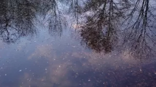 Kamera na cestách: Írsko, keltská mágia