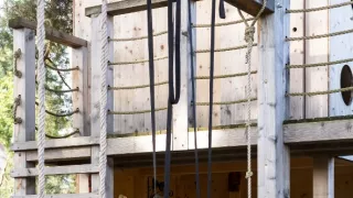 Ferdinandove záhrady III (6/8)