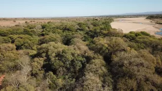 Království divočiny: Lemuři kata, Madagaskar