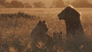 Vzostup a pád levej svorky (2/2)
