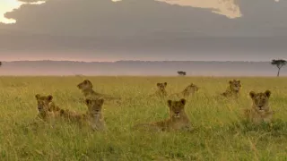 Vzostup a pád levej svorky (2/2)