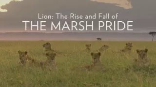 Vzostup a pád levej svorky (2/2)