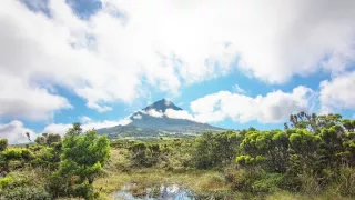 Azorské súostrovie, záhrada uprostred oceánu