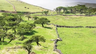 Azorské súostrovie, záhrada uprostred oceánu