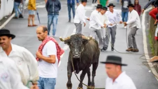 Azorské súostrovie, záhrada uprostred oceánu