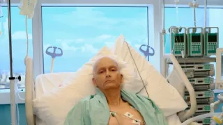 Litvinenko (1/4)