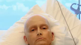 Litvinenko (1/4)