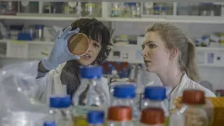 CRISPR: Genetické inžinierstvo