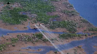 Vietnamská váka, Historie a důsledky (3)