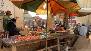 Neznámý Madagaskar (1/2)