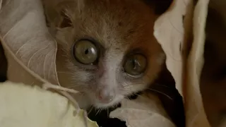 Neznámý Madagaskar (1/2)