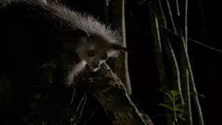 Neznámý Madagaskar (1/2)