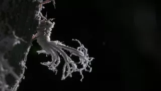 Neznámý Madagaskar (1/2)